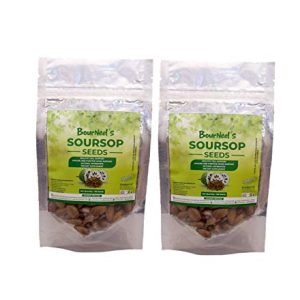 Soursop Seeds (Each Pack 100 Seeds) (Pack of 2)